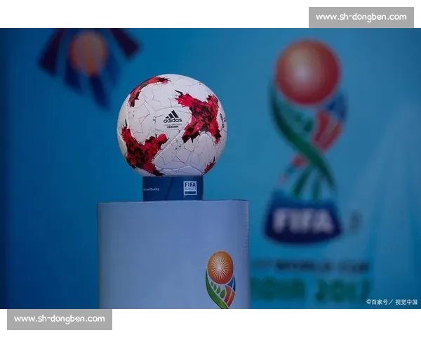 2026世界杯南美区：足球世界的璀璨明珠！