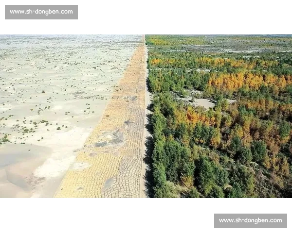 神秘力量，瓜达拉哈拉，这片土地将孕育奇迹！