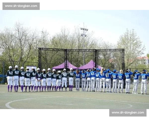 MLB世界冠军榜：谁将续写传奇，荣誉花落谁家！